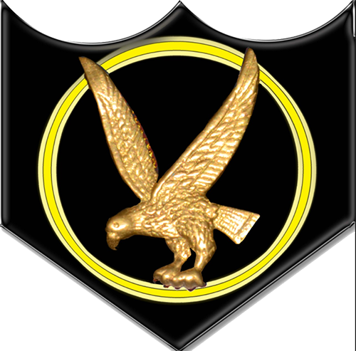 FORMATION SIGN - BORDER SECURITY FORCE