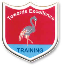 FORMATION SIGN/INSIGNIA -SASHASTRA SEEMA BAL