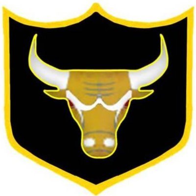 FORMATION SIGN - BORDER SECURITY FORCE – Blue Army